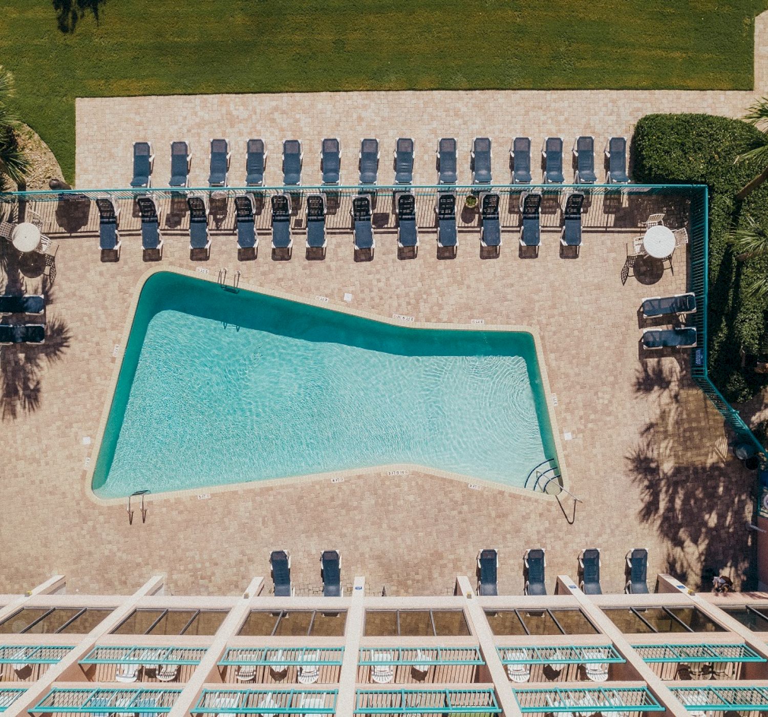 An aerial view of a pool with blue lounge chairs surrounding it, set within a landscaped area with green grass and palm trees.
