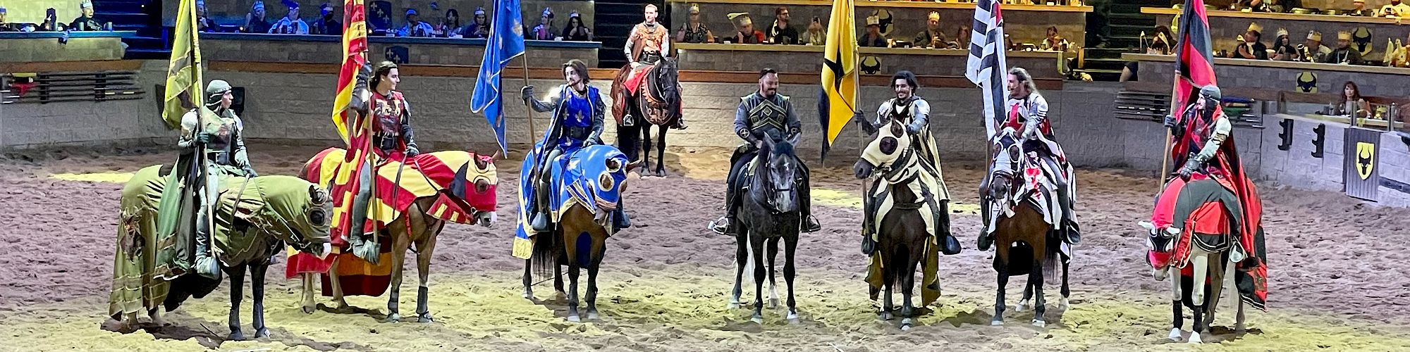 A group of six armored knights on horseback stands in an arena, each holding a flag with different colors and emblems, with an audience watching.